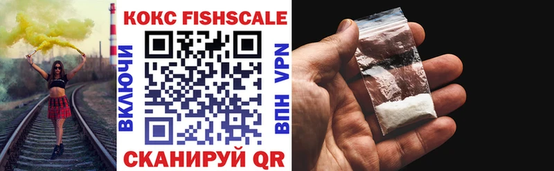 Cocaine FishScale  Купить закладки  Бахчисарай 