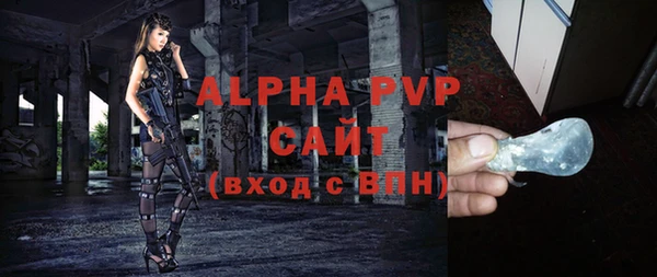 spice Дмитриев