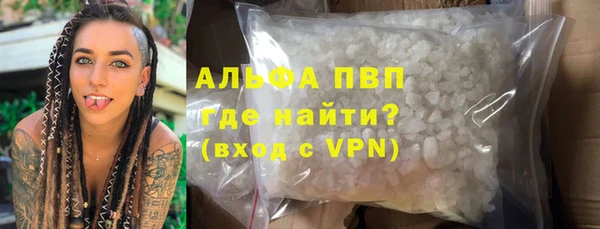 spice Дмитриев