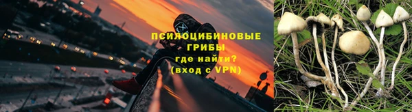 крисы Дмитров