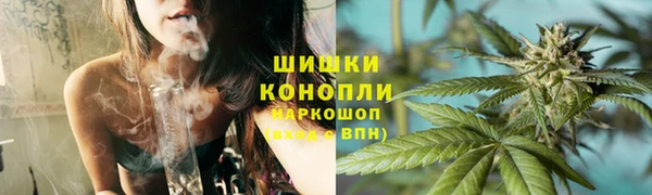 spice Дмитриев