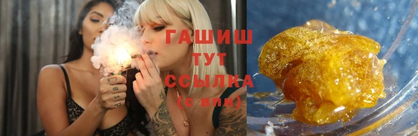 spice Дмитриев