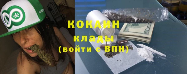 крисы Дмитров