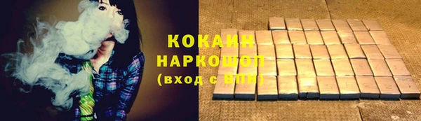 spice Дмитриев