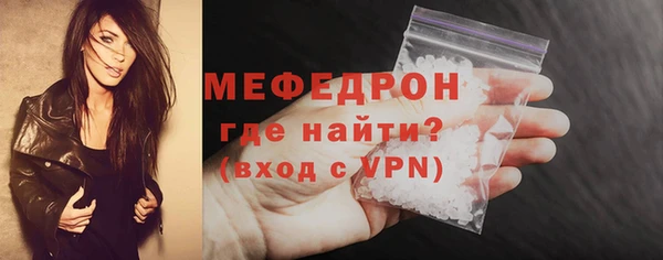 spice Дмитриев