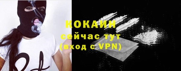 крисы Дмитров