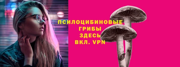 МДМА Дмитровск