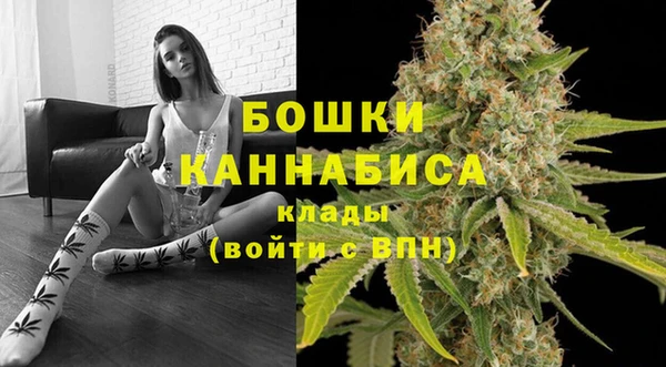 spice Дмитриев