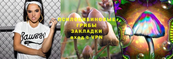 spice Дмитриев
