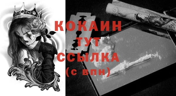 крисы Дмитров