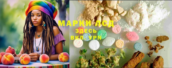 ECSTASY Гусь-Хрустальный