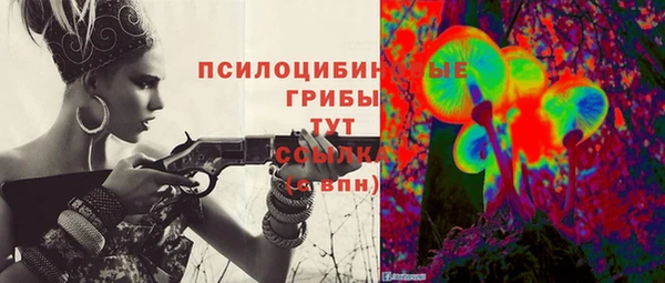 a pvp Ельня