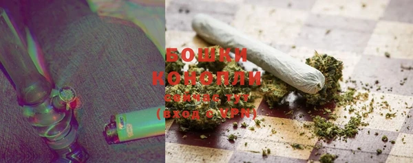 крисы Дмитров