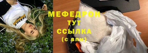 spice Дмитриев