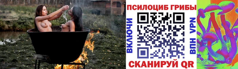 Галлюциногенные грибы Cubensis  Купить  Бахчисарай 
